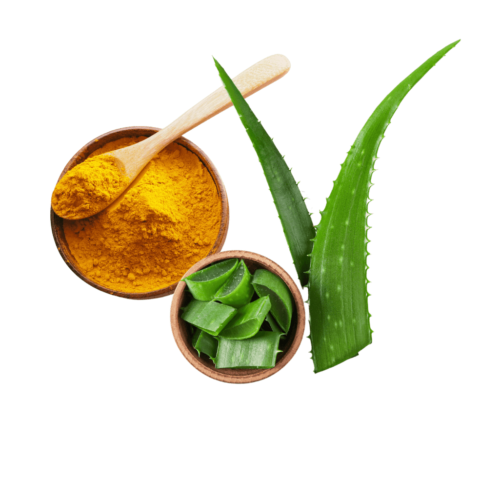 Turmeric & Aloe Vera