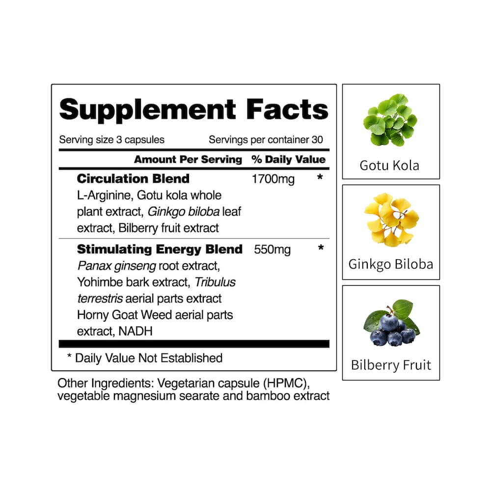 Conduire Facts Image