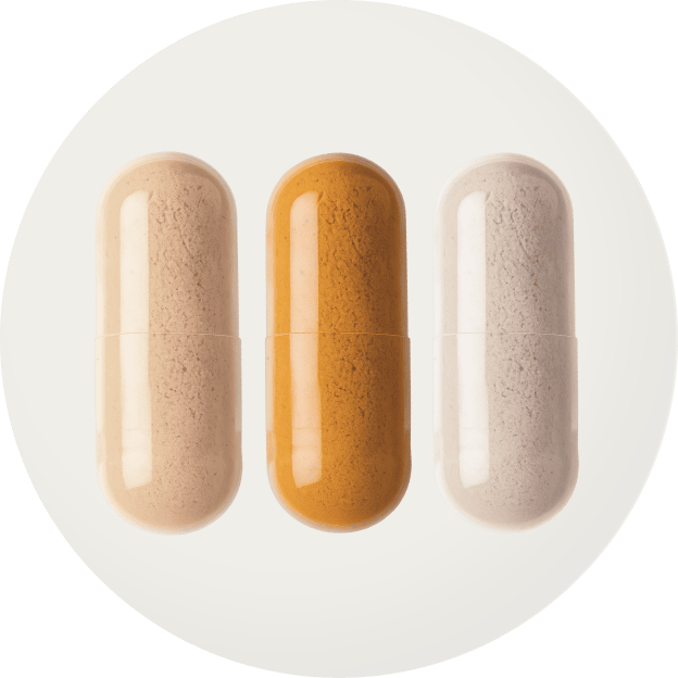 What This Bundle Fixes Every Day