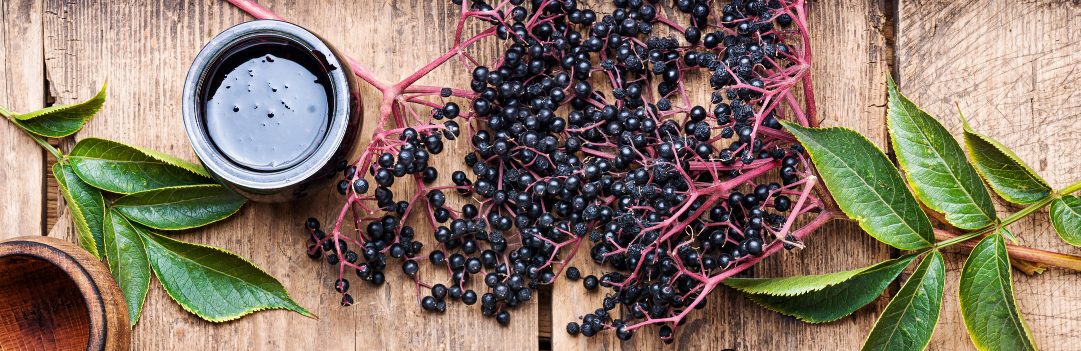 Top 5 Immune-Boosting Foods