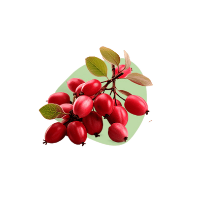 Berberine