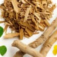 Asian Ginseng