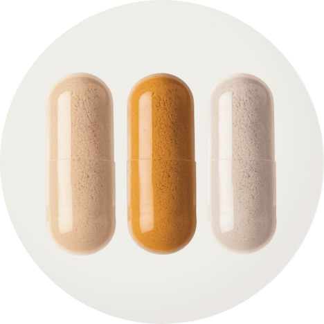 What This Bundle Fixes Every Day