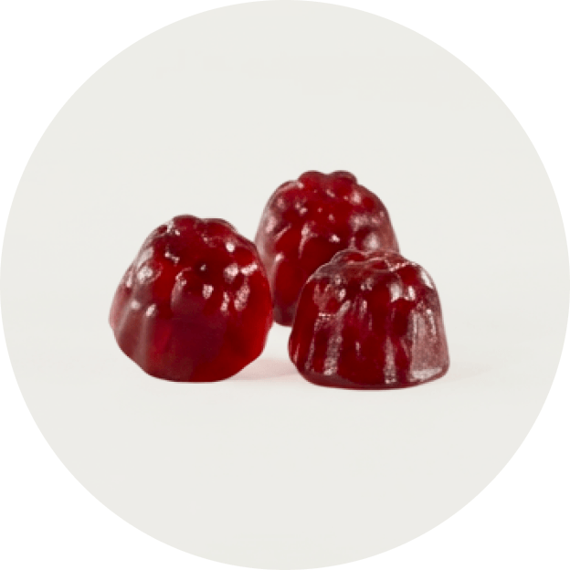 One Gummy. Four Ways It Supports You.