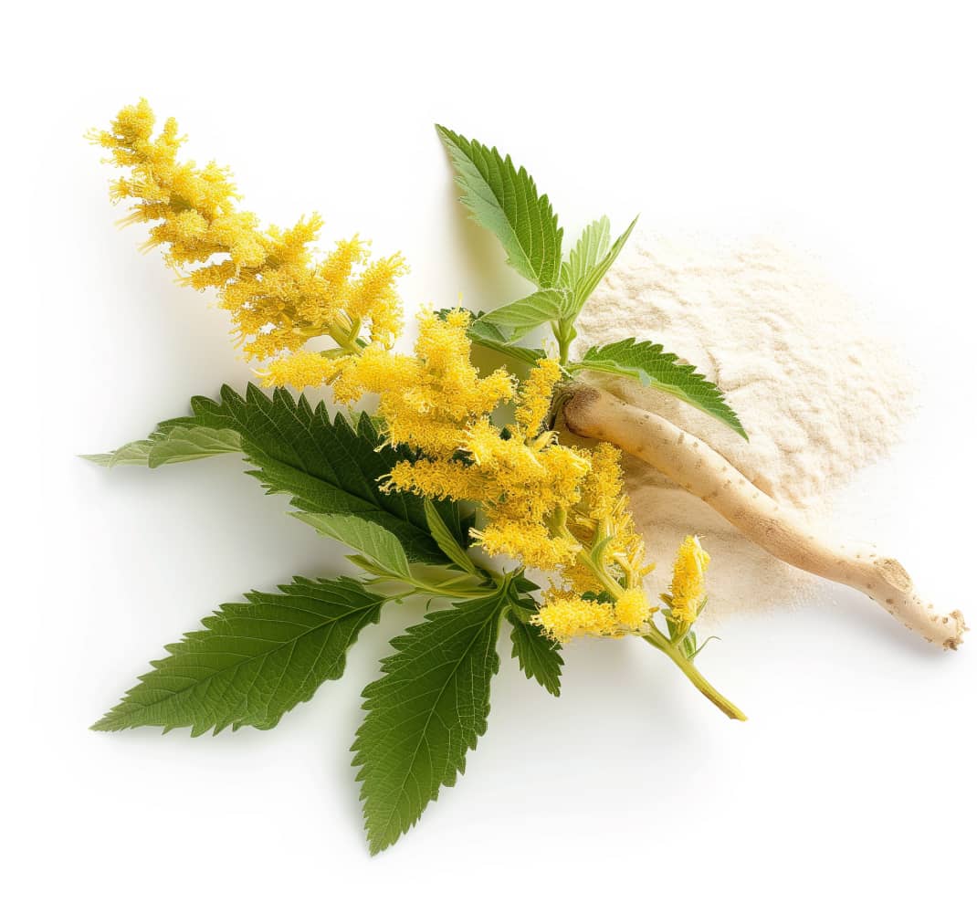 The Botanicals Your Kidneys Have Always Worked Without