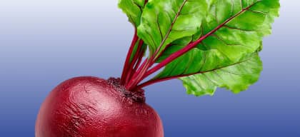 Beetroot Extract