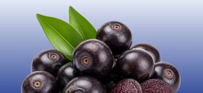 Acai