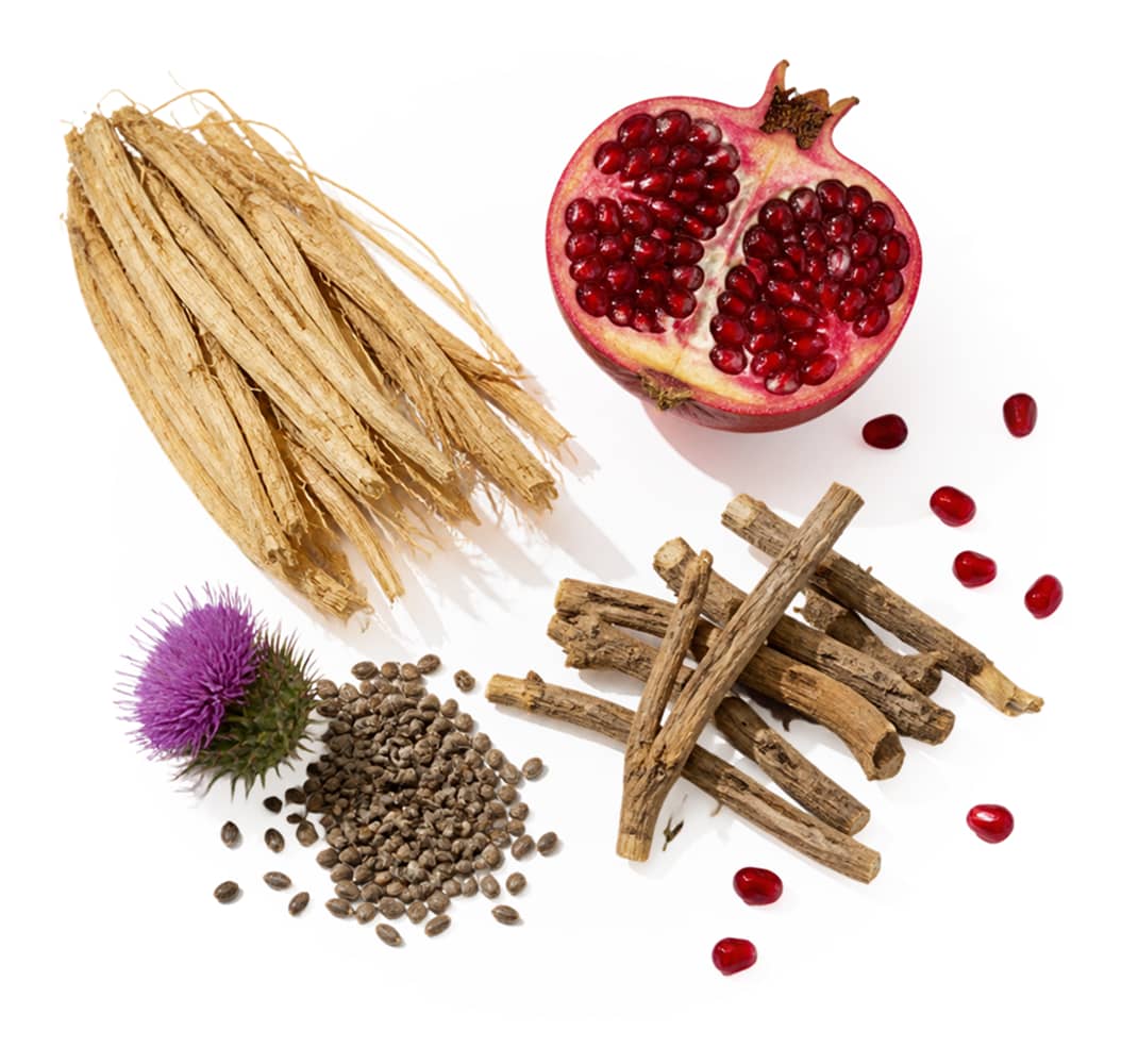 The Ingredients Perimenopause Takes Away and We Restore